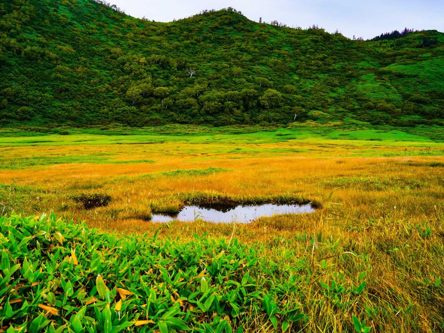 池塘
少し草紅葉も始まってる🍁