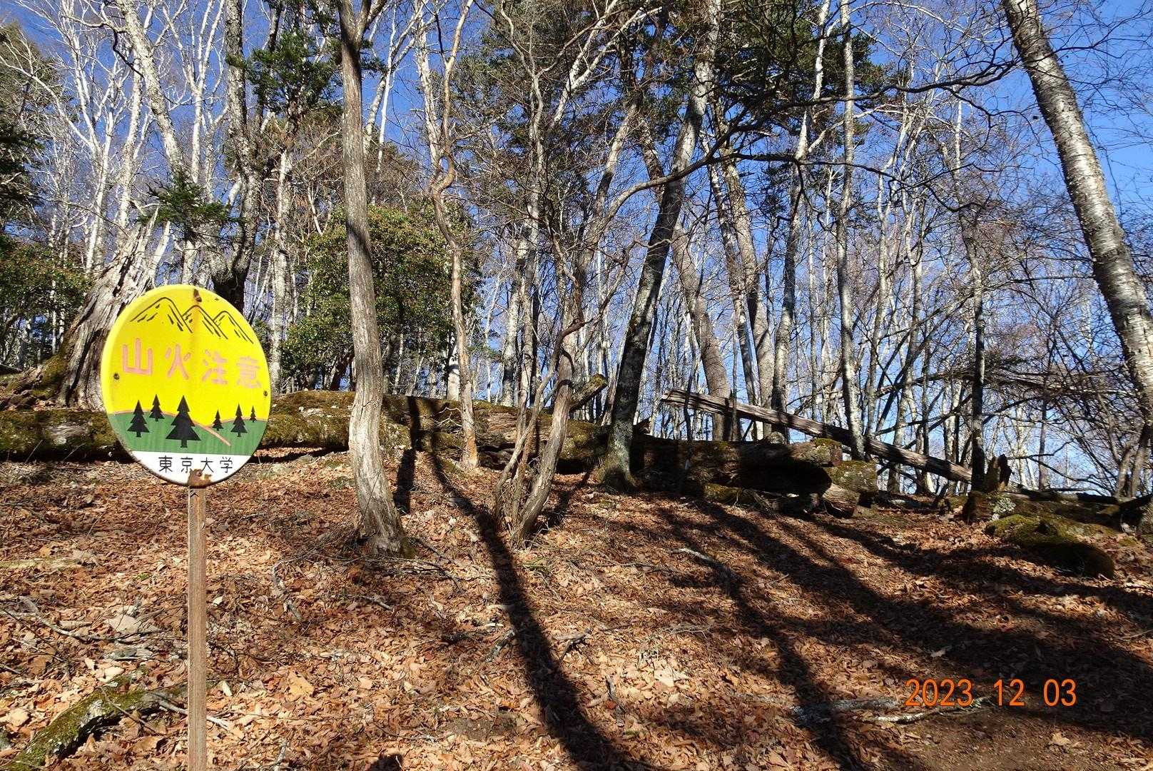 どうやら、この山は東京大学の持ち物？みたいですねぇ〜