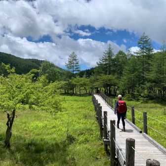 大阿原湿原