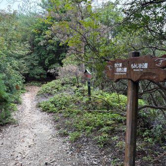 案内板を確認して、まだまだ弥山を目指して進みます⛰️✨