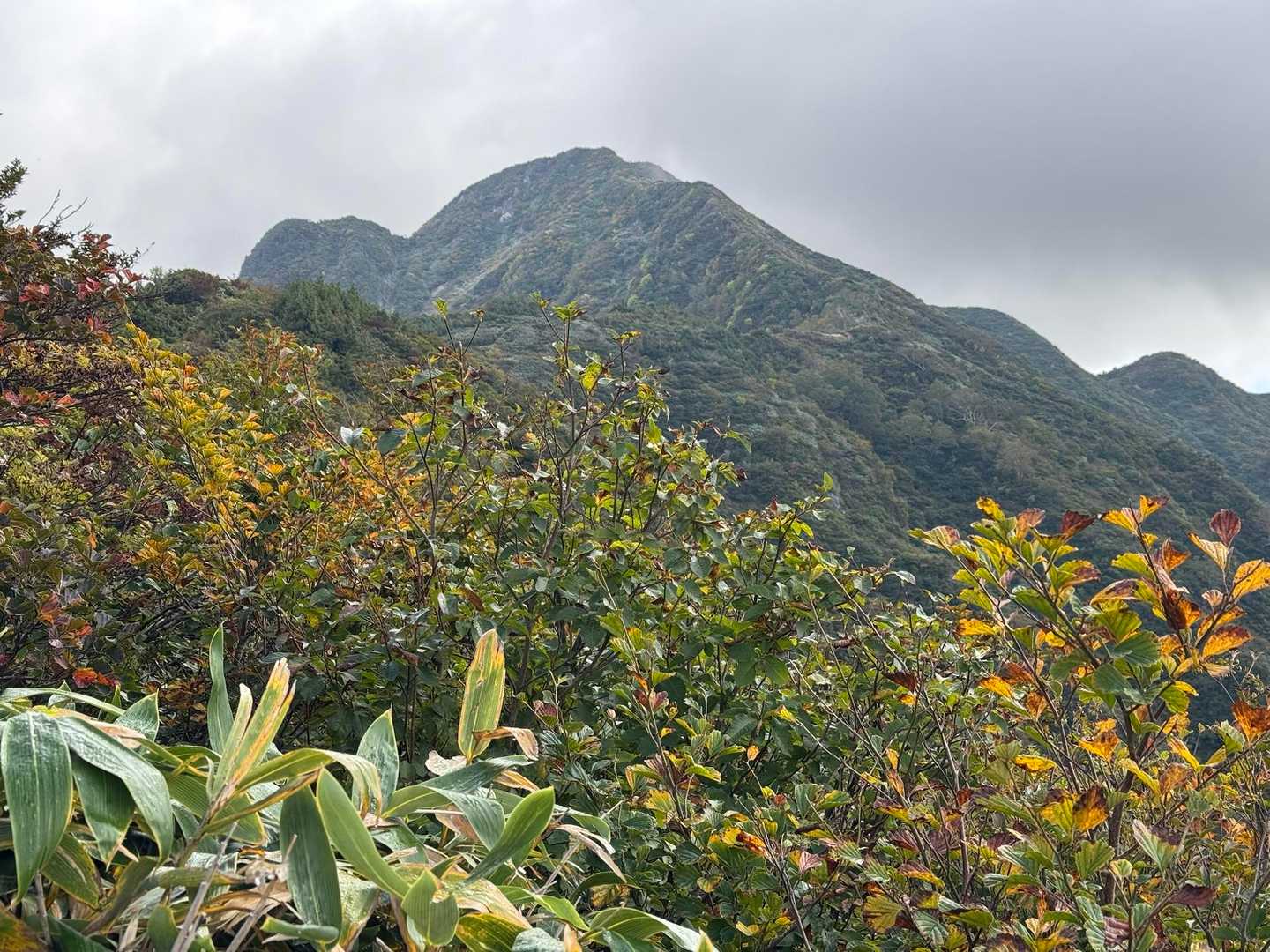 旭原登山口-大源太山 往復コースの写真