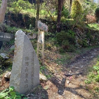 今日の、ここから。