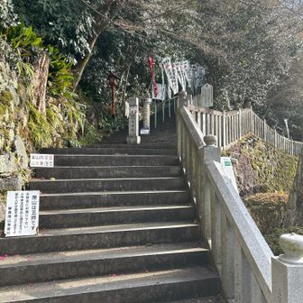 この階段を登る