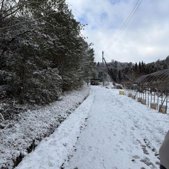 歩くと暑くなる
