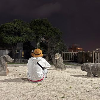 アニマル会議に参加

りょ・「あの〜三角点を探しています」
クマ🐻・「三角点は知らないなぁ」
トラ🐯・「そんな物ここには無いんじゃないか？」
パンダ🐼・「それより、腹減った」
りょ・「クマったなぁ🤔」

と、言う事でこの砂場をピークにします👍
🌴沖縄初登頂✨🙌🏼✨