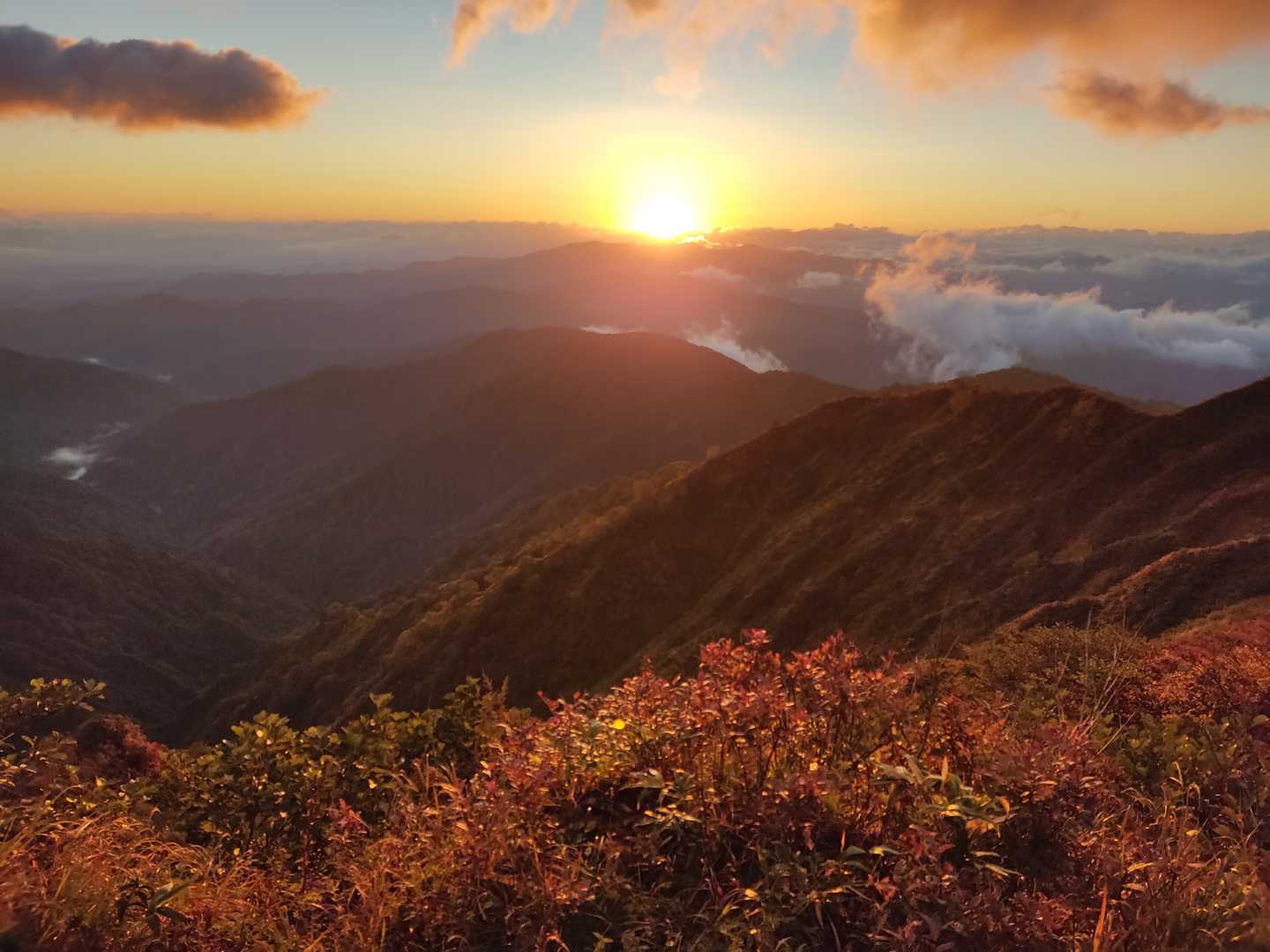 やばい。泣きそう。