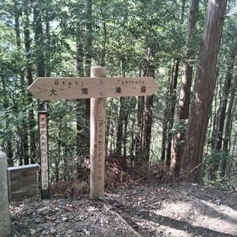 登りの分岐で見ていましたが大滝は地名と思っていました^^;