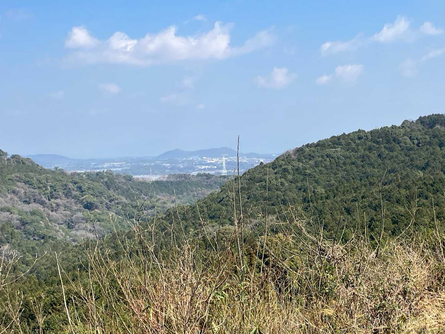 植木の岩野山