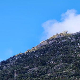 こちらが黒味岳かな?