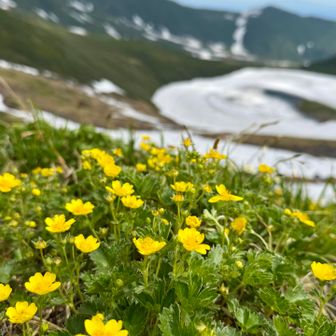 帰り道もカメラタイムばかり。
…戻れるのか？