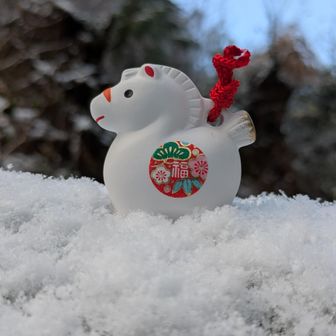 大きな倒木の上に着座