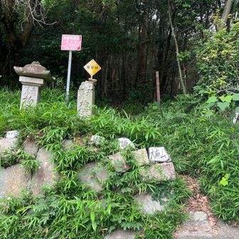 一度車道に降りて、登り直し⛰️