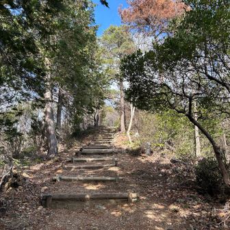 おかわり階段(笑)