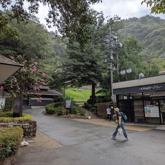 2本目を下山したら水が無くなったのでトイレまで行って補充、雨が降り出した