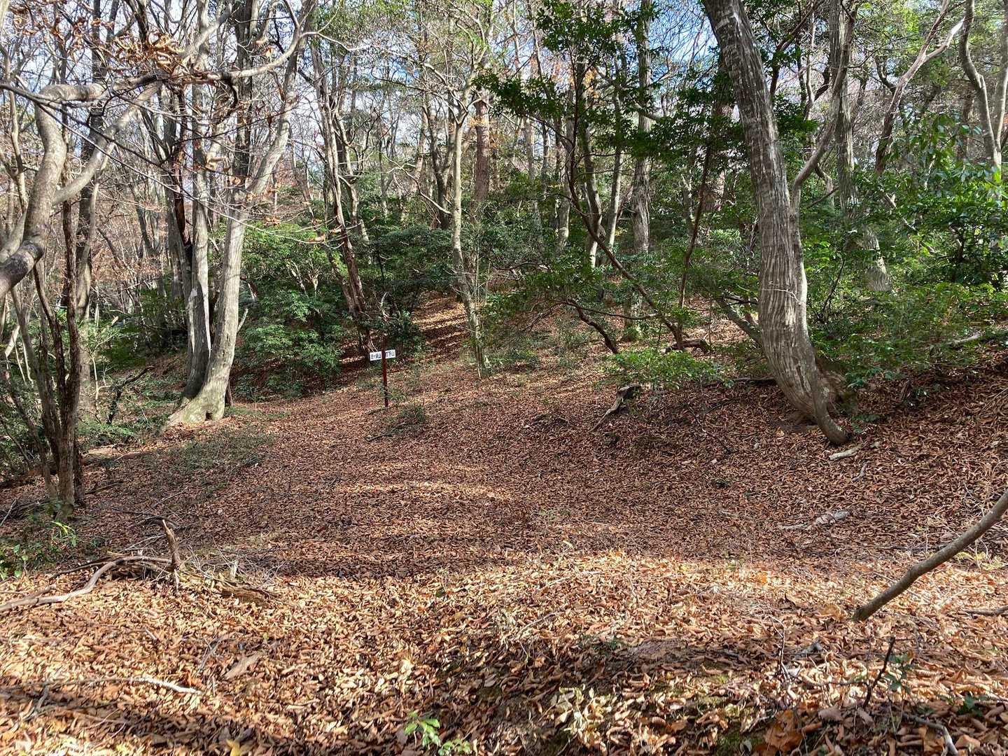 落ち葉🍂で もふもふ
道迷い注意☝️