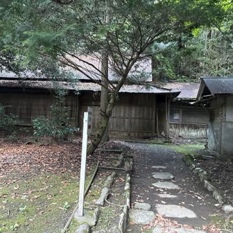 熊より廃墟が怖い😱