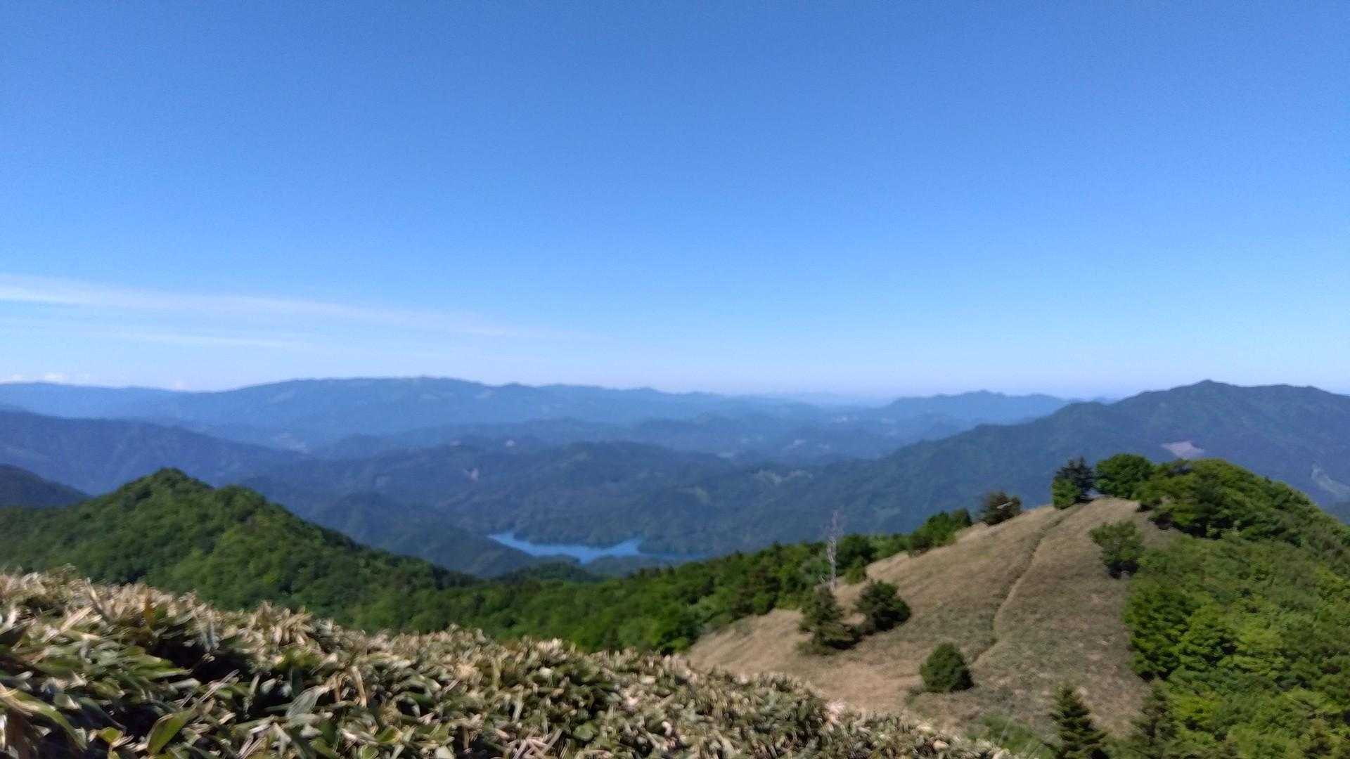 保井野登山口-堂ヶ森 往復コースの写真