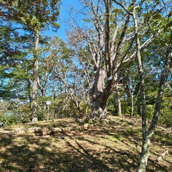 鹿留山山頂
