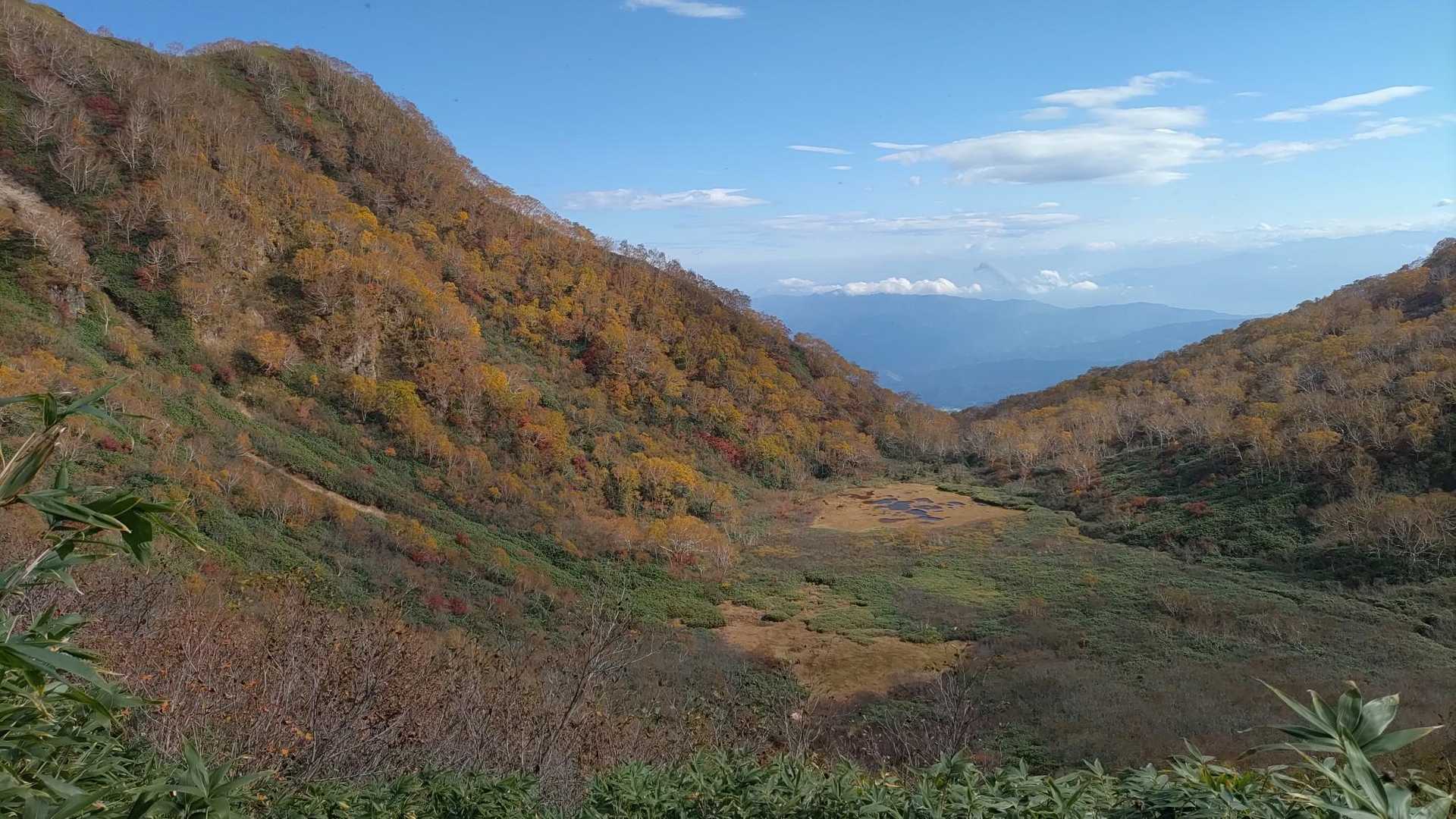 紅葉と池塘