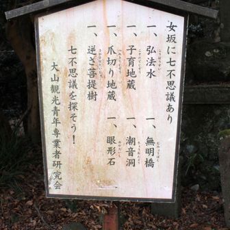 女坂に七不思議ありって七つあったかな？泣き顔のダムさん入れて七つだったような・・・・？