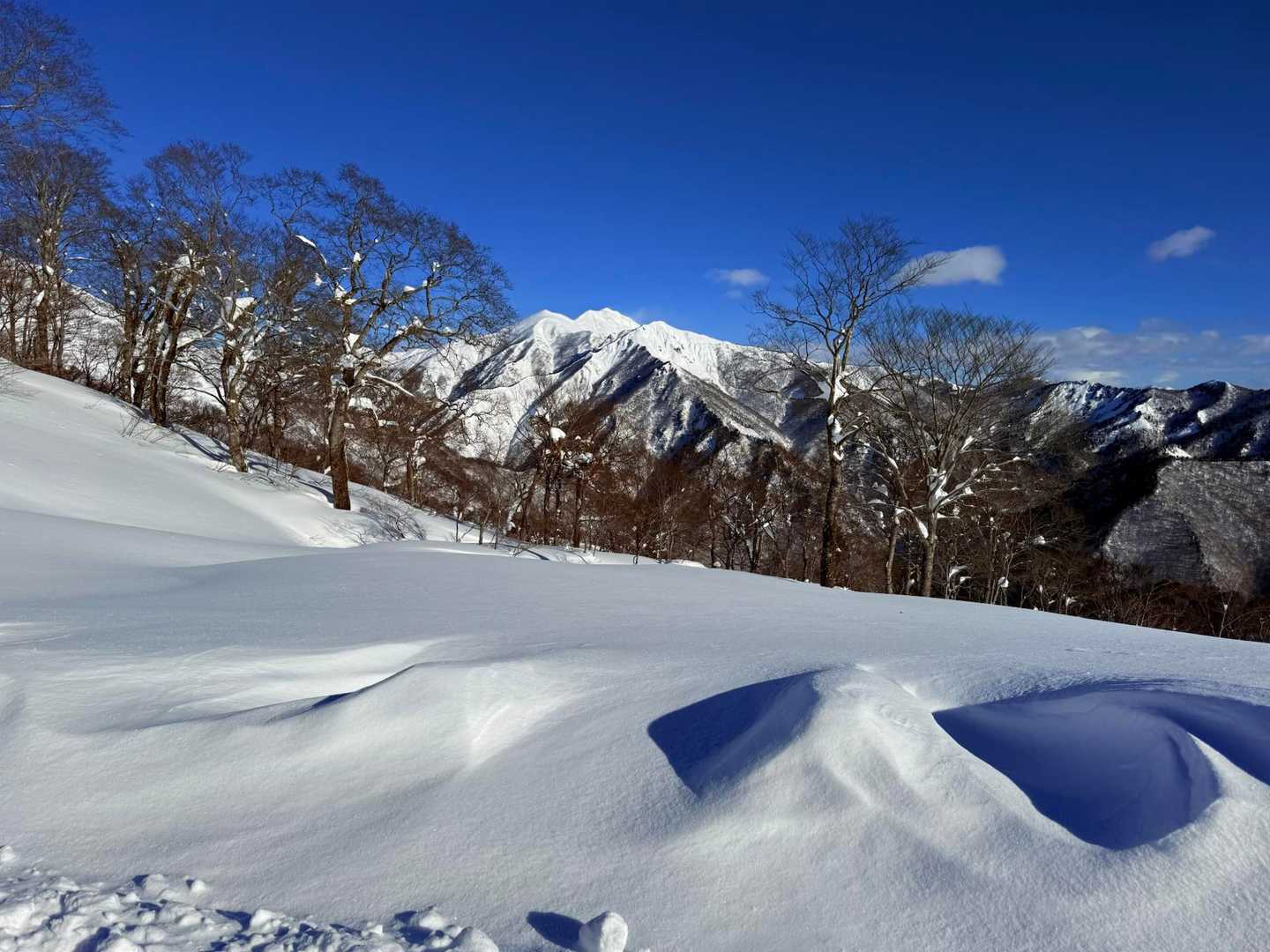 登山入口-熊穴沢ノ頭 往復コースの写真