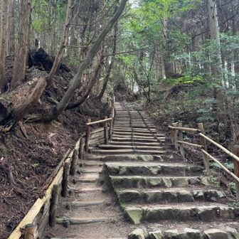 ちょっと飽きてくる
