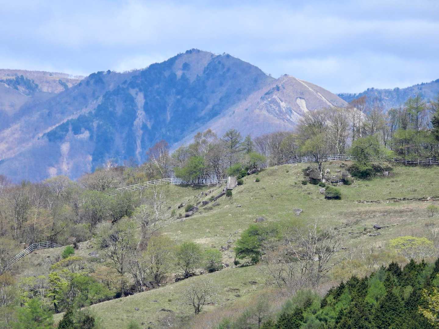 牧場越しで沢入山。