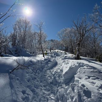 まさに雪山の世界観☃️☀️