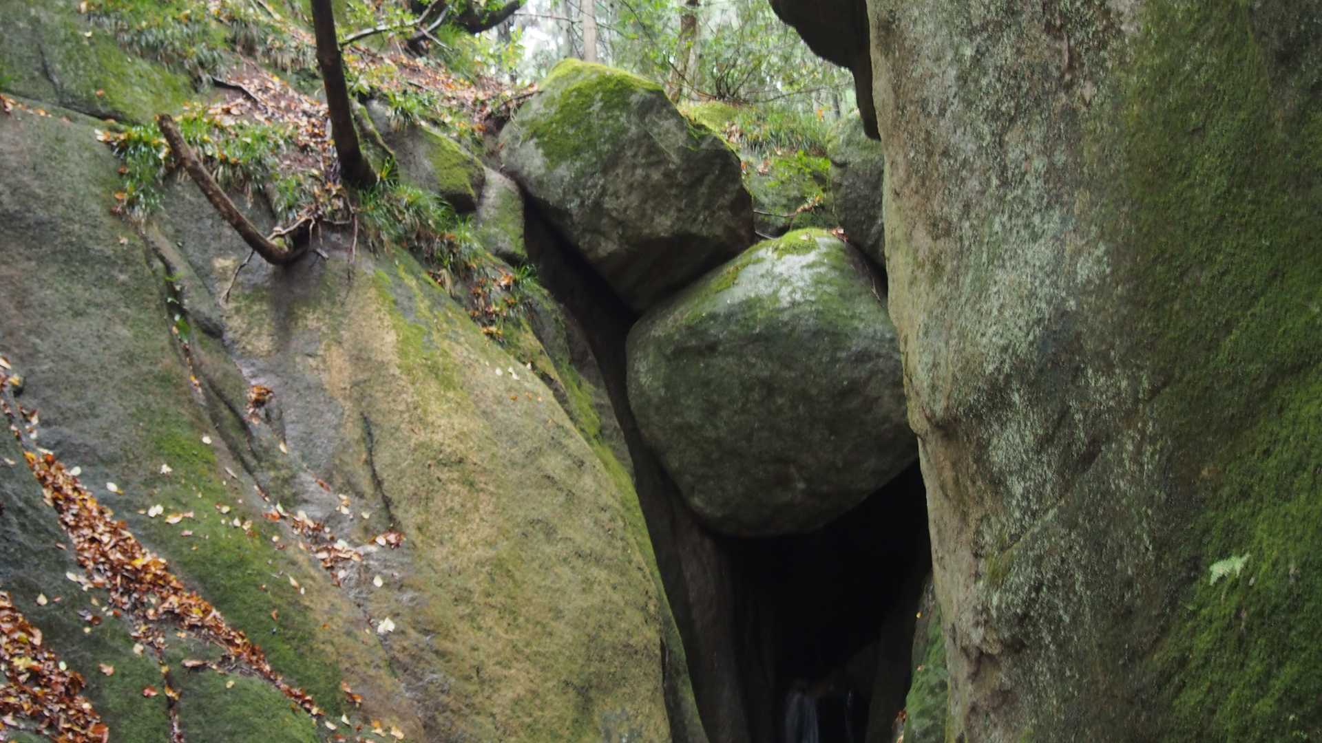 玉峰山 周回コースの写真