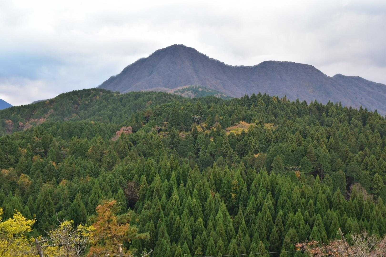 丘の上から金時山🪓