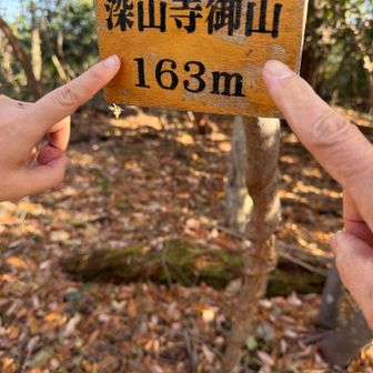 第1座目
深山寺御山163ｍ