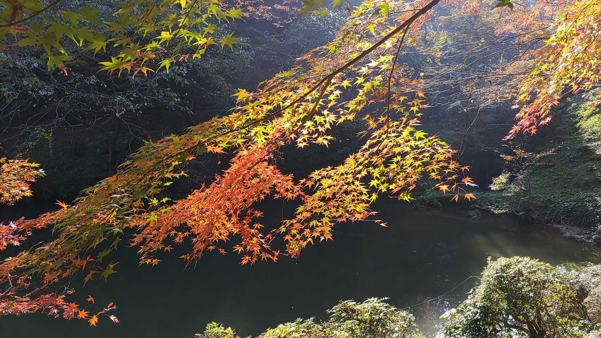 村国山 往復コースの写真