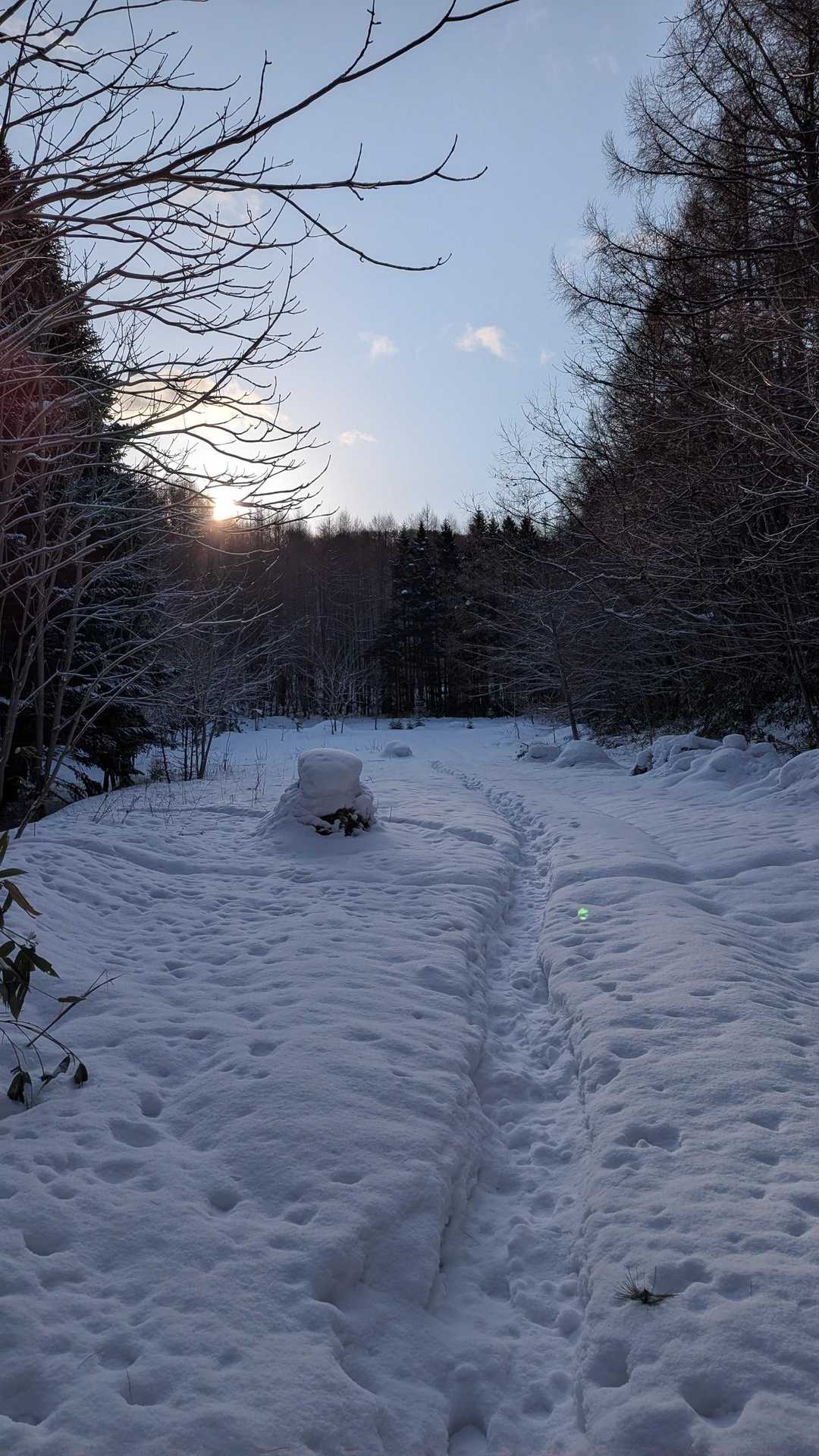 陽が出てきた