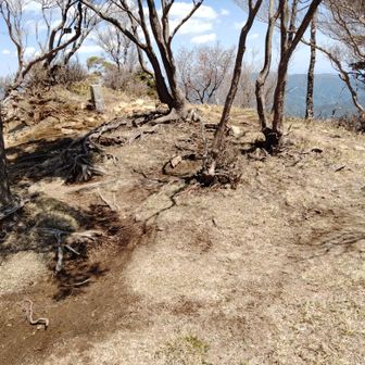 無人の小ぶりな沢入山山頂