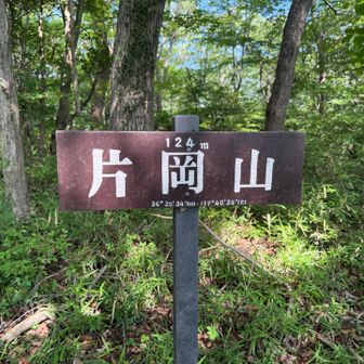 片岡山山頂