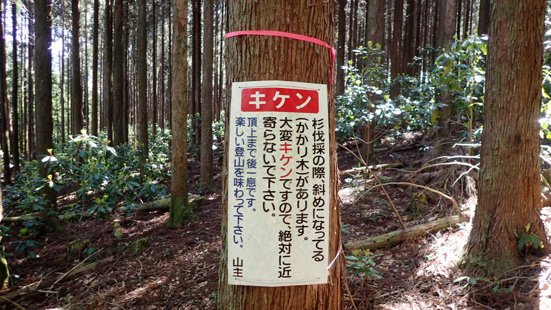 これは面白い。三合目であと一息とは…。僕等にはまだまだこれからの道のり。山主さんは凄い体力の持ち主かな❔
