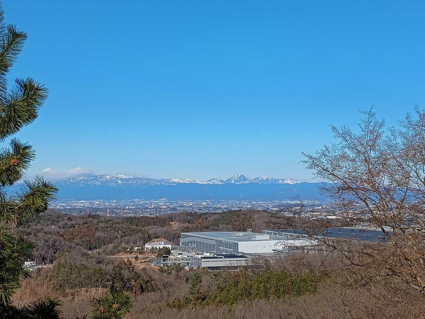 駐車場に向かう道すがらからも、素晴らしい🤩