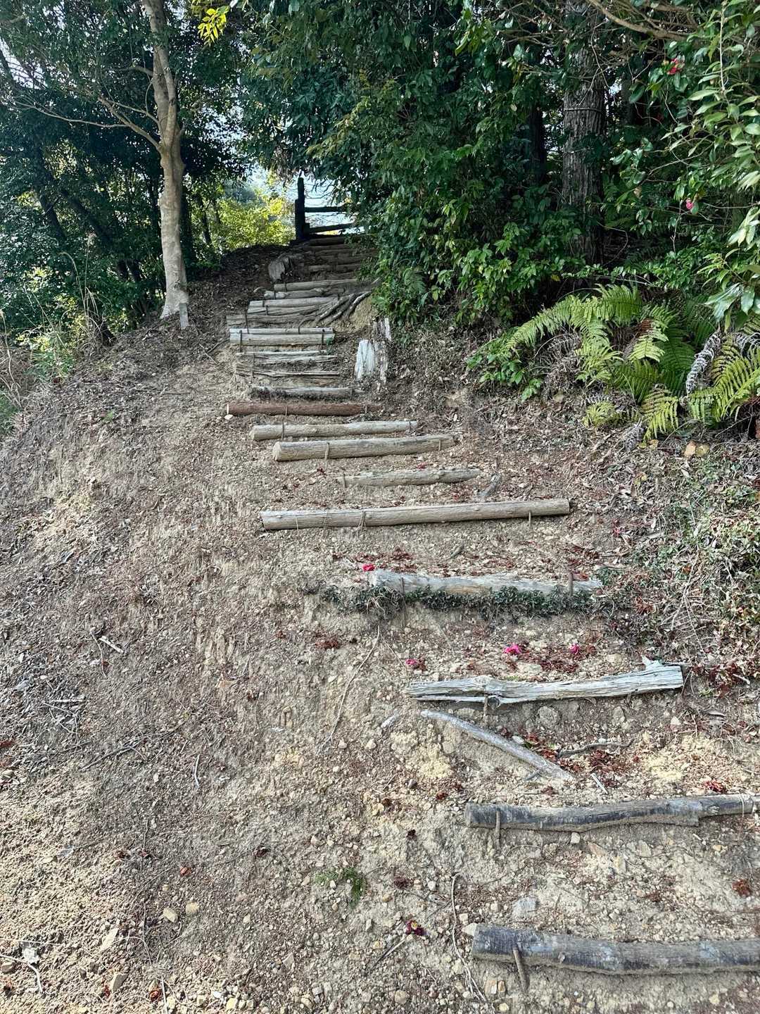 登山口到着
