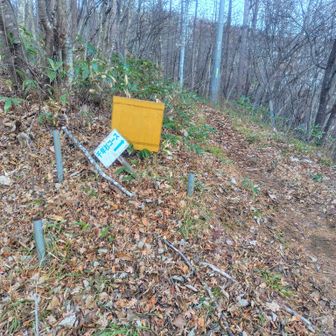 千年杉コース出口

途中からある
地名しりとり30問

解きながら降りると楽しい🎶

ちなみに私の成績は
5/30

これが高得点かどうかこの道を通った人に判定して欲しいな😂