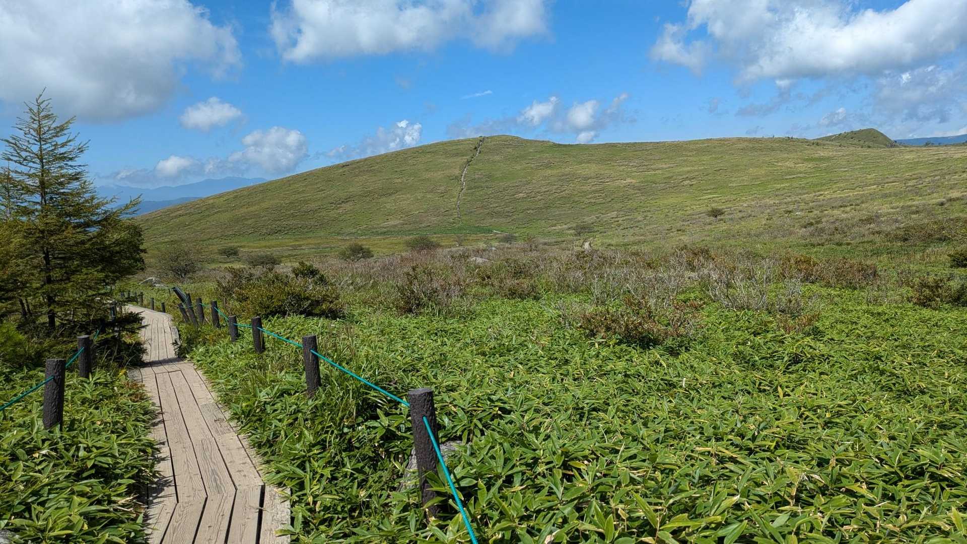 正面の蝶々深山から下りて　右方向からぐるりと歩いてきました