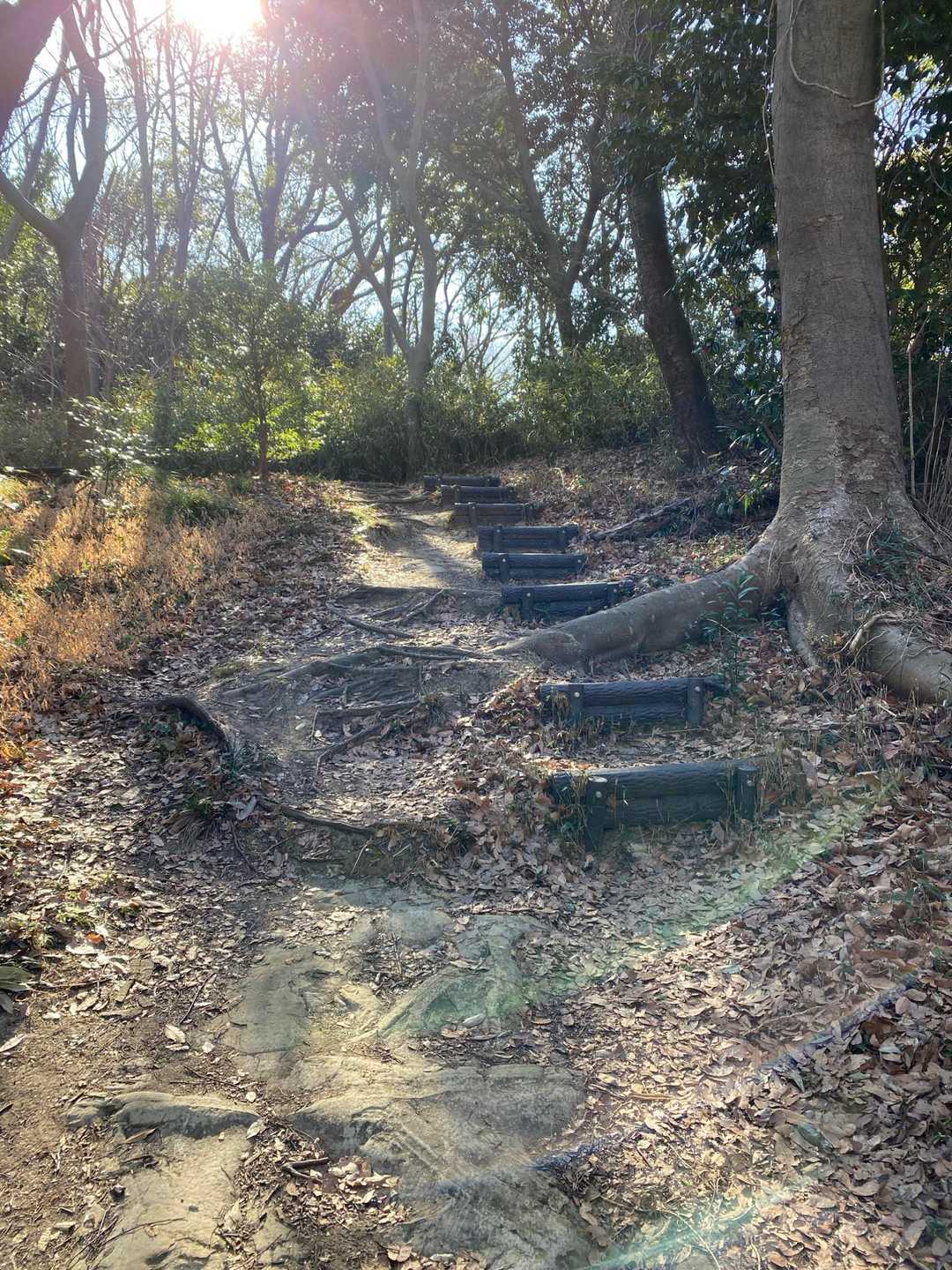 金沢文庫駅-称名寺市民の森入口-金沢山-称名寺-仁王門-称 縦走コースの写真