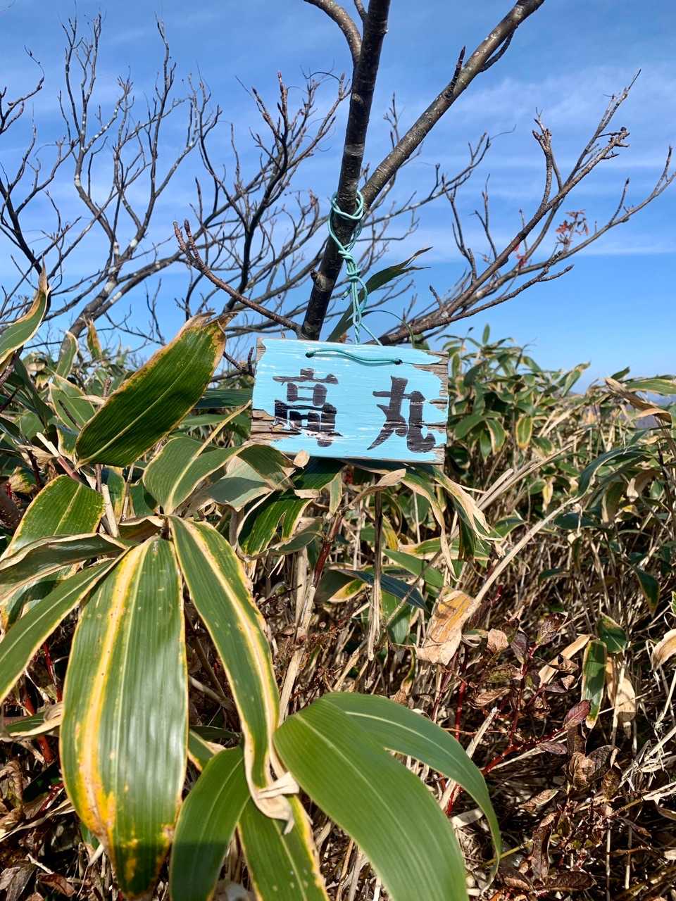 到着。ひとちゃんが3日に化粧直して、『高丸』がクッキリしてます。
まるで私の為に施したの様！ありがとうございました。