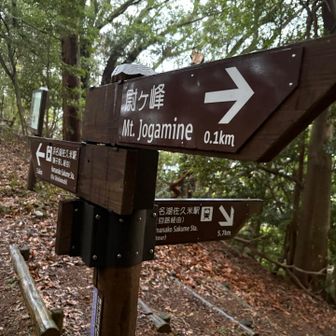 もう上らないコースを選択。向かうは西気賀駅。