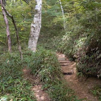 散策路まで帰ってきたよ。