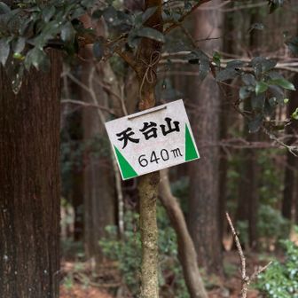 天台山。ここも眺望なし〜
気がついたらあまり休憩してなかったので満を持してあんドーナツを食べたのでした😋