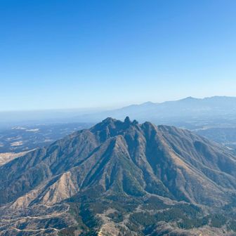 高岳東峰よりネコ🐈