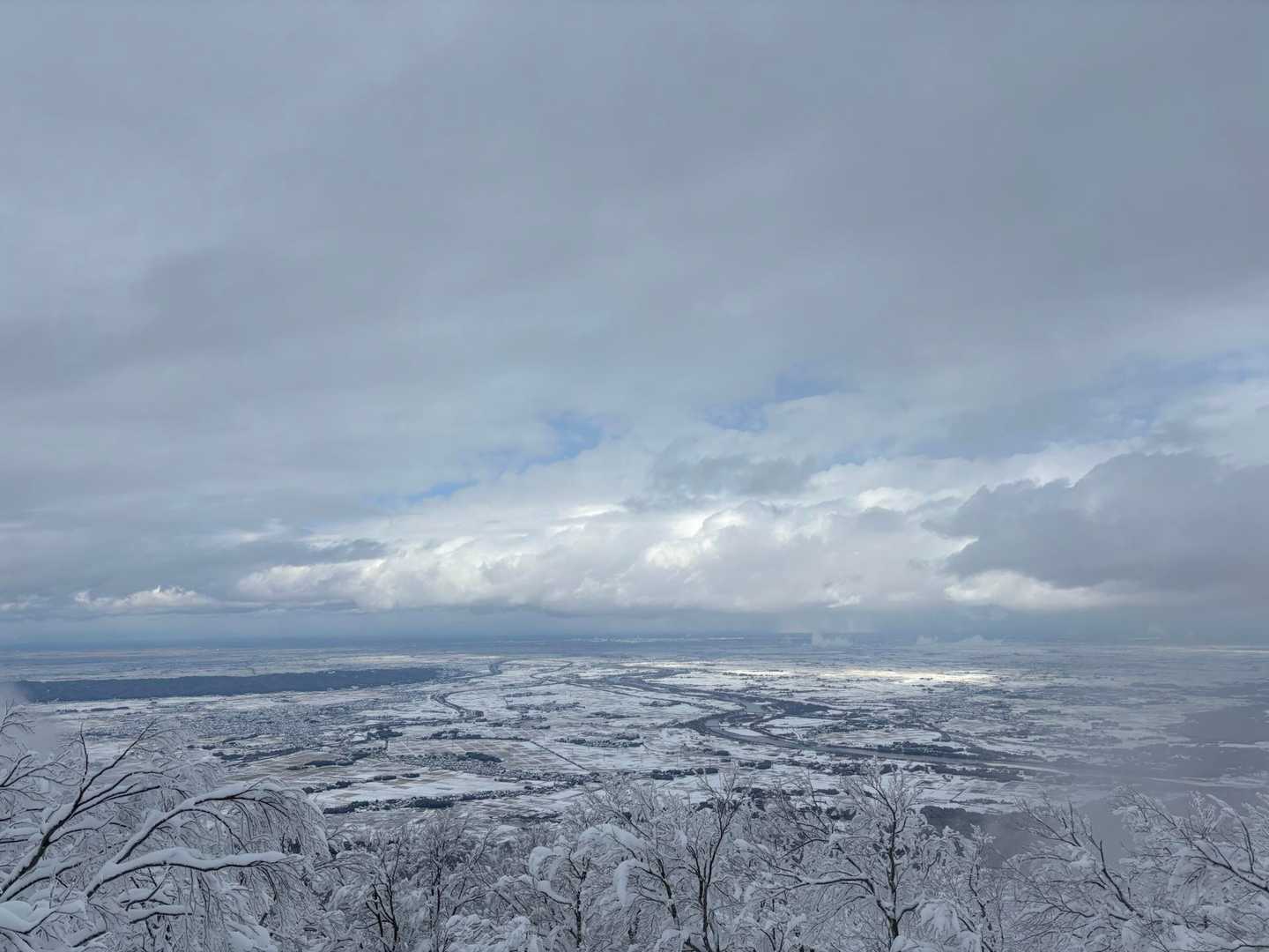 大蔵山 往復コースの写真