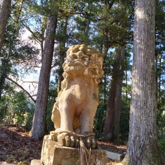 この狛犬さんは鼻の穴が大きい🤣
神社もいろいろ
狛犬もいろいろ