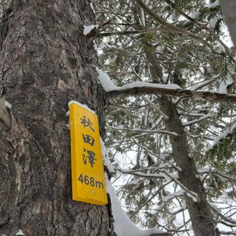 着いた！
澤なのね😄