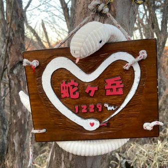 白蛇ちゃんの故郷⁉︎😆